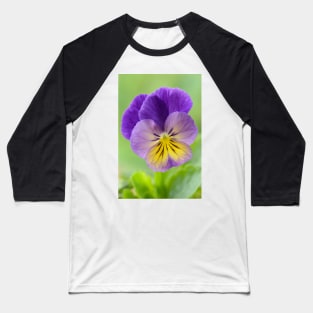 Pansy Viola Baseball T-Shirt